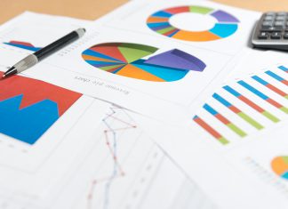 Test ¿Cómo le fue a su negocio este año?