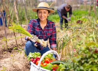 Campesinos, que los improvistos no afecten las finanzas de su negocio ¡Feliz día campesinos!