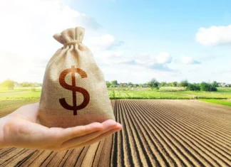 4 beneficios de la planificación financiera para los negocios rurales Beneficios de la planificación financiera.